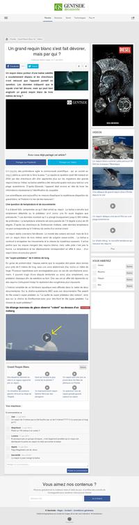 Casse croute au requin ? 