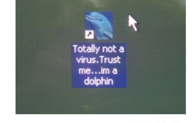 Je suis un dauphin