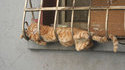 L'endroit confortable