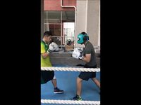 Théorie, théorie, pratique