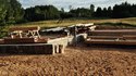 Construction d'une maison en bois