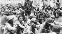 5 Novembre 1942 : Quelques prisonniers japonais après la prise de l'île de Guadalcanal (archipel des îles Salomon)