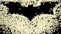 The Dark Knight Rices