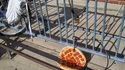 Quand t'es assez con pour laisser ton velo-pizza attaché par la roue avant..
