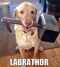 Labrathor