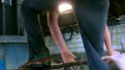 Combat contre une biche