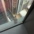 Base jump