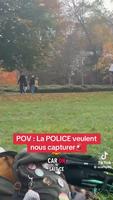 Encore un peu de therian 