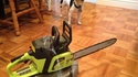 Les chats ont une nouvelle arme