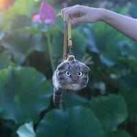 Ceci n'est pas un chat !