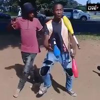 Enquiller les jongles