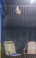 Faire le mur 