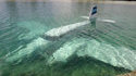 Avion dans l'eau