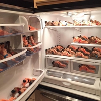 Frigo surprise