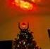 Un sapin 