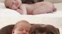 Pas insolite... mais mignon !