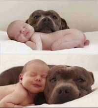 Pas insolite... mais mignon !