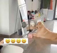 J’aurais du prendre le jaune 