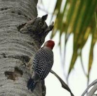 bordel ! il y en a qui veulent dormir !