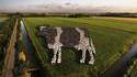 La vache dans le pré
