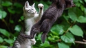 Catality
