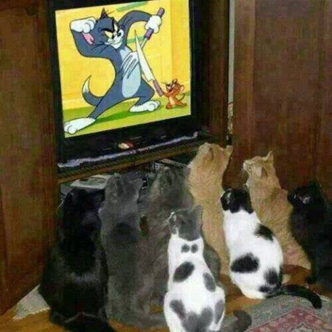 Avec Tom et Jerry, j'ai ri des tonnes.