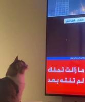 Défense anti missile 