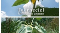 Tournesols