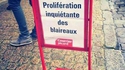 Des nouvelles de Picardie