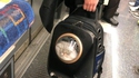 Minou dans le métro