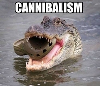 La cannibalisme en image 2