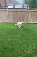 Prendre des risques inconsidérés