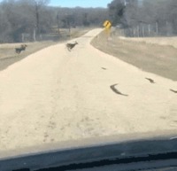 Nop, pas par là
