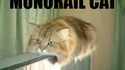 Monorail Cat