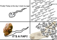It's a Fap