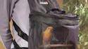 Sac à piaf