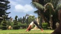 Yoga et chien