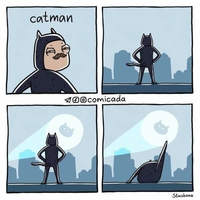 Catman