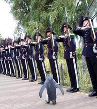 Inspection des troupes