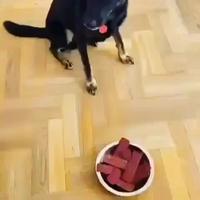 Je crois ce que je vois