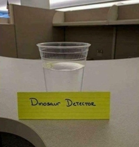 Dinosaur detector