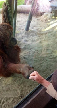Fist bump