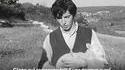 1967, bergers lecteurs..