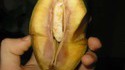Un drôle de fruit