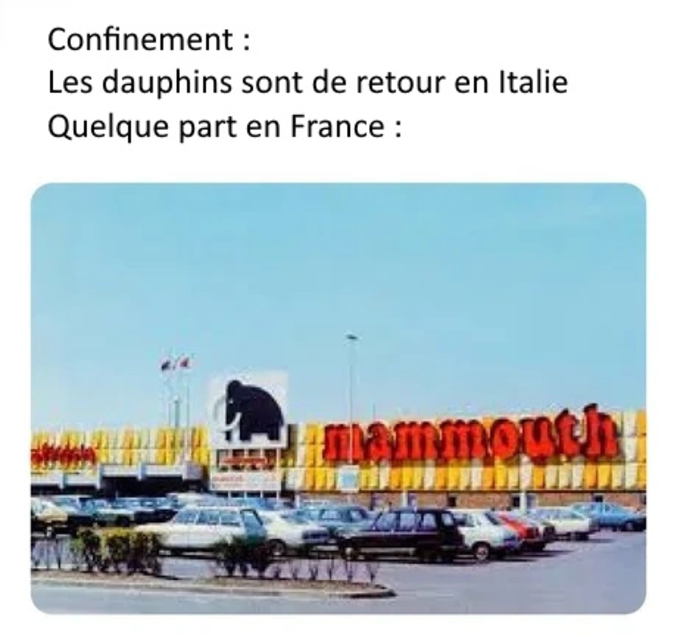 Ah la nature reprend ses droits ! C'est Greta qui doit être contente ! ...Wait ?