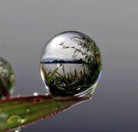 Goutte d'eau