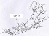 Enculeur de rat mort.