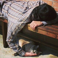 Sieste à deux étages