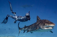 (Attention, derrière toi, c'est affreux ! )²