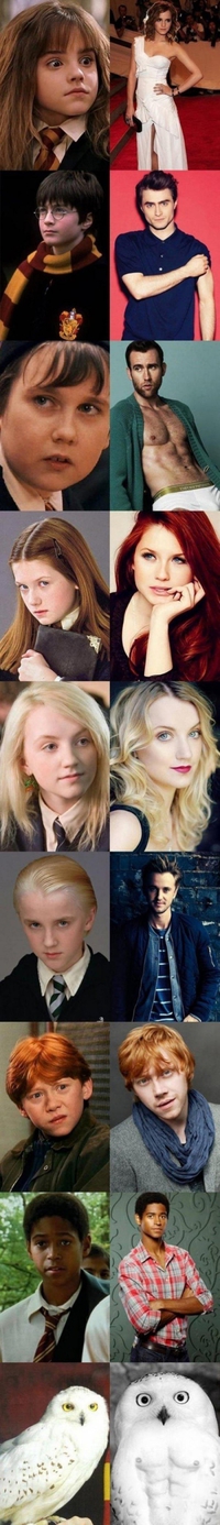 Harry Potter, avant et après